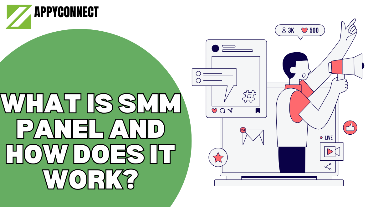 What Is an SMM Panel and How It Works | Best SMM Panel in Nigeria – ZappyConnect